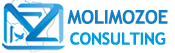 MOLIMOZOE CONSULTING